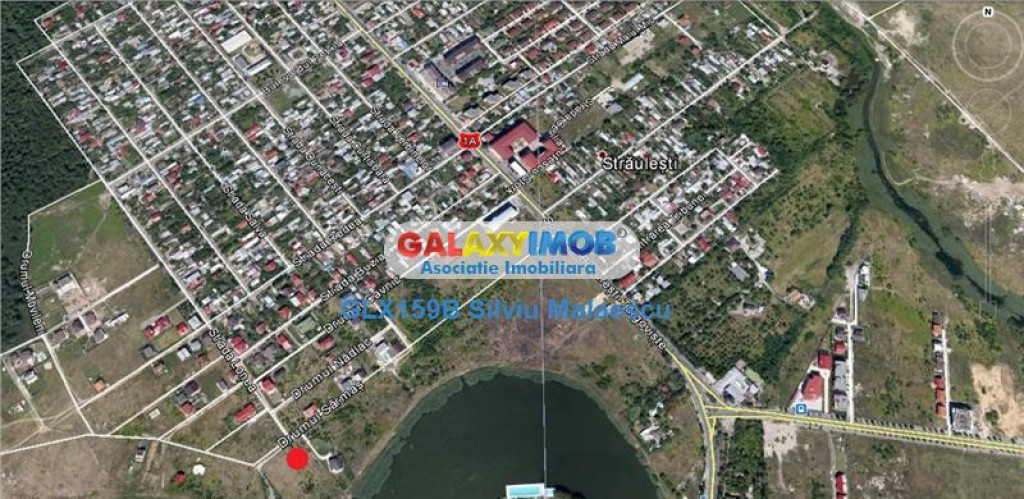 Straulesti 2506 mp LAC - 2 Cocosi