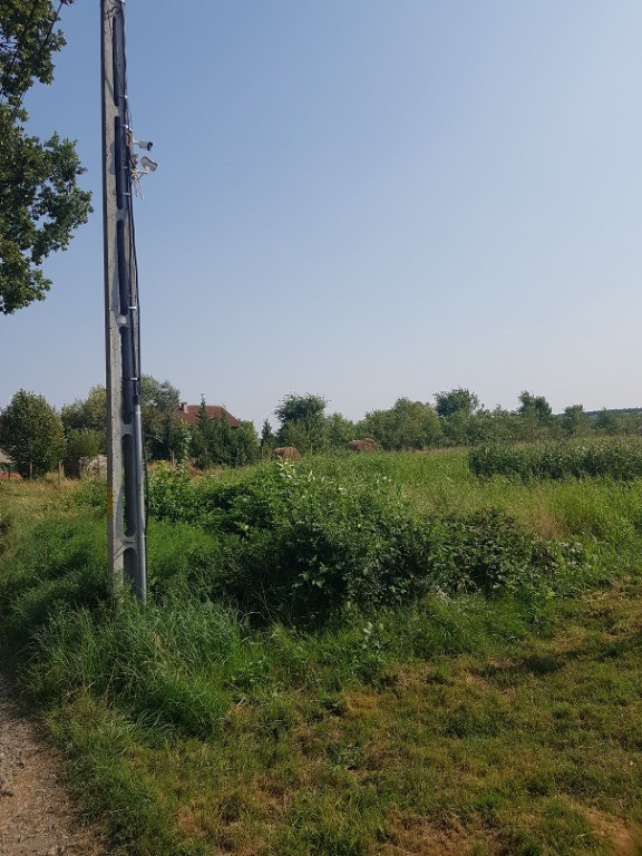 Coltau, 50 ari teren, intre case