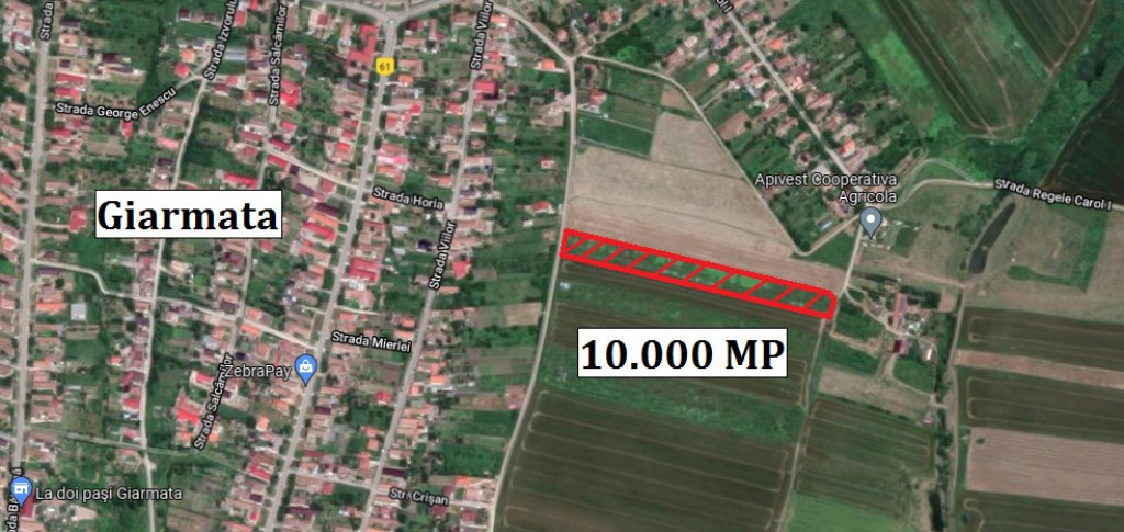 Teren 10.000 mp. in Giarmata - ID : RH-30481-property