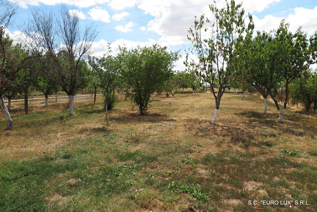 Loc de casa - Zona Aradul Nou