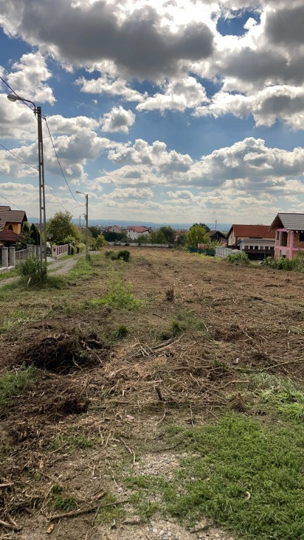 M.Costin, 7-21 ari teren