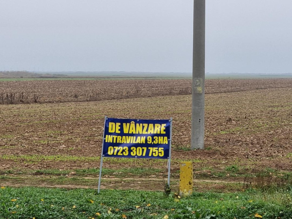 Teren intr 9,3 HA, Gepiu , front la DN Arad-175 ml