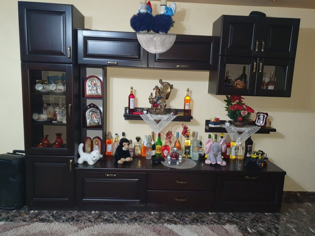 Vila P+M si spatiu comercial, Stefan cel mare