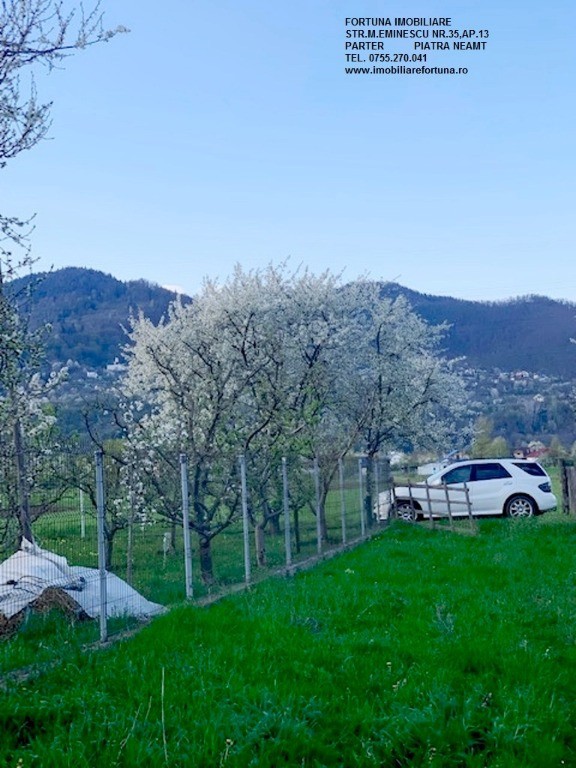 Teren Vadurele, Al. cel Bun