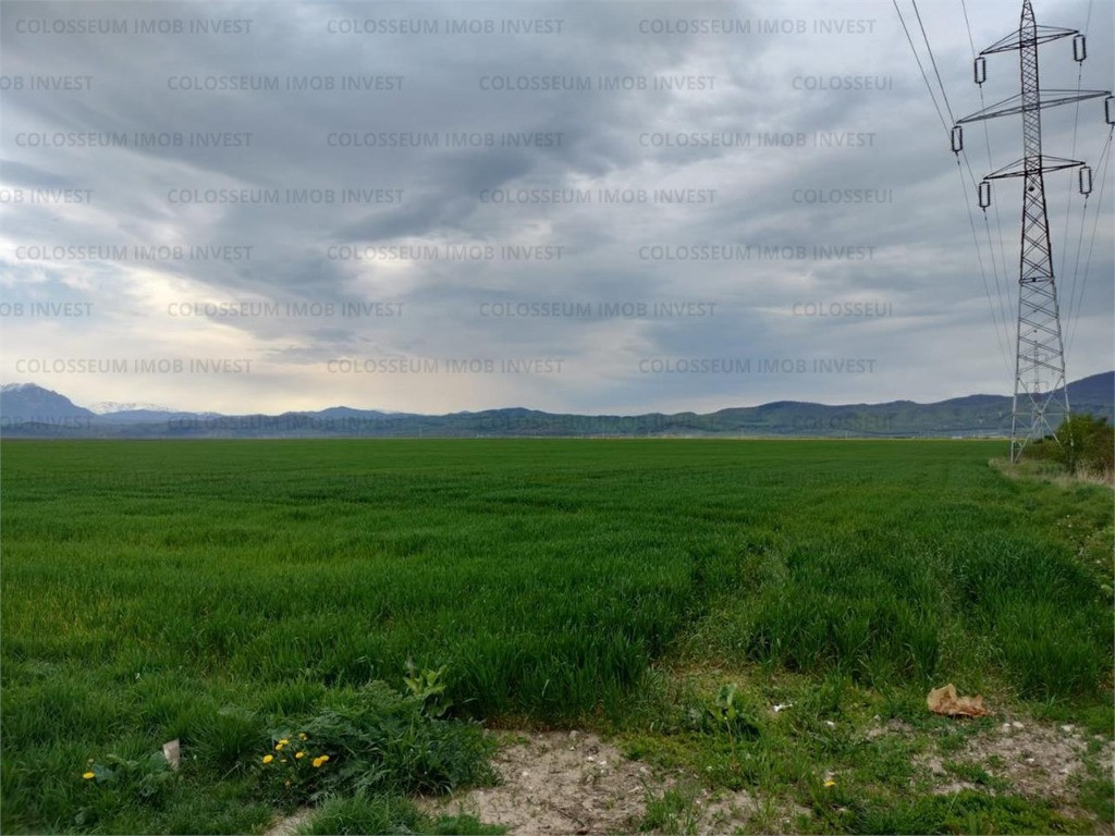 Teren pentru hale industriale - zona Cristian