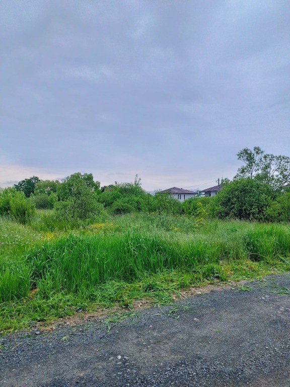 T.Magheraus, zona buna, 17 ari teren