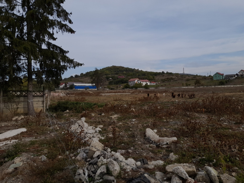 Teren zona Centură 2 ha