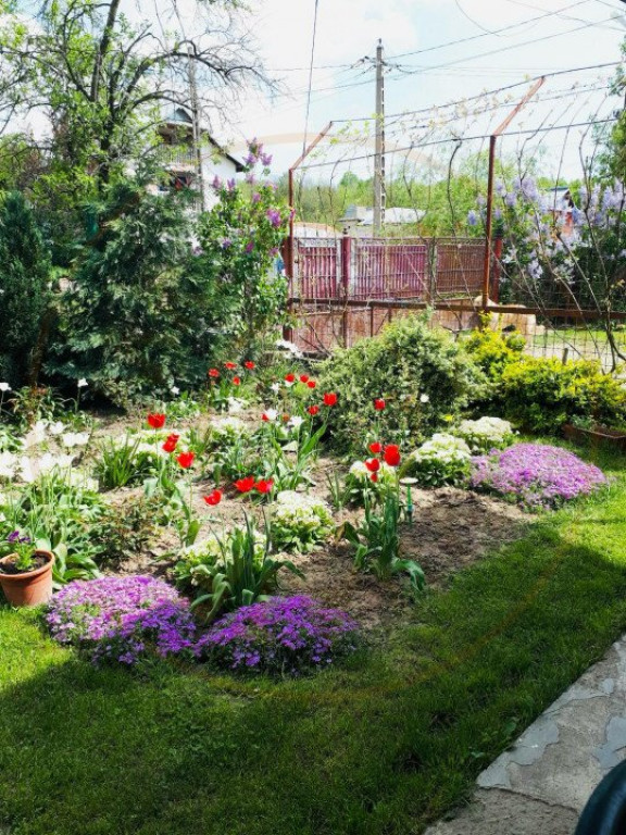 Casa Poiana Lacului, sat Samara - la doar 20 de minute de or