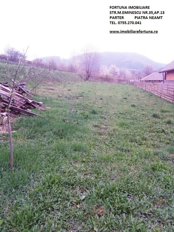 Teren Alexandru cel Bun