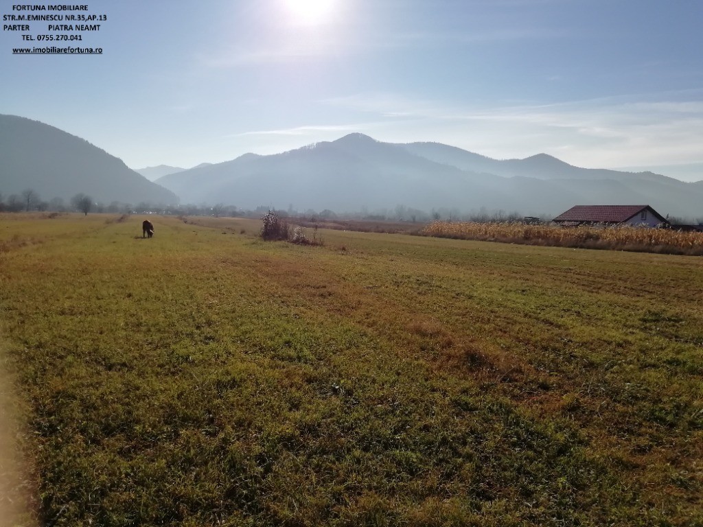 Teren intravilan Bistrita