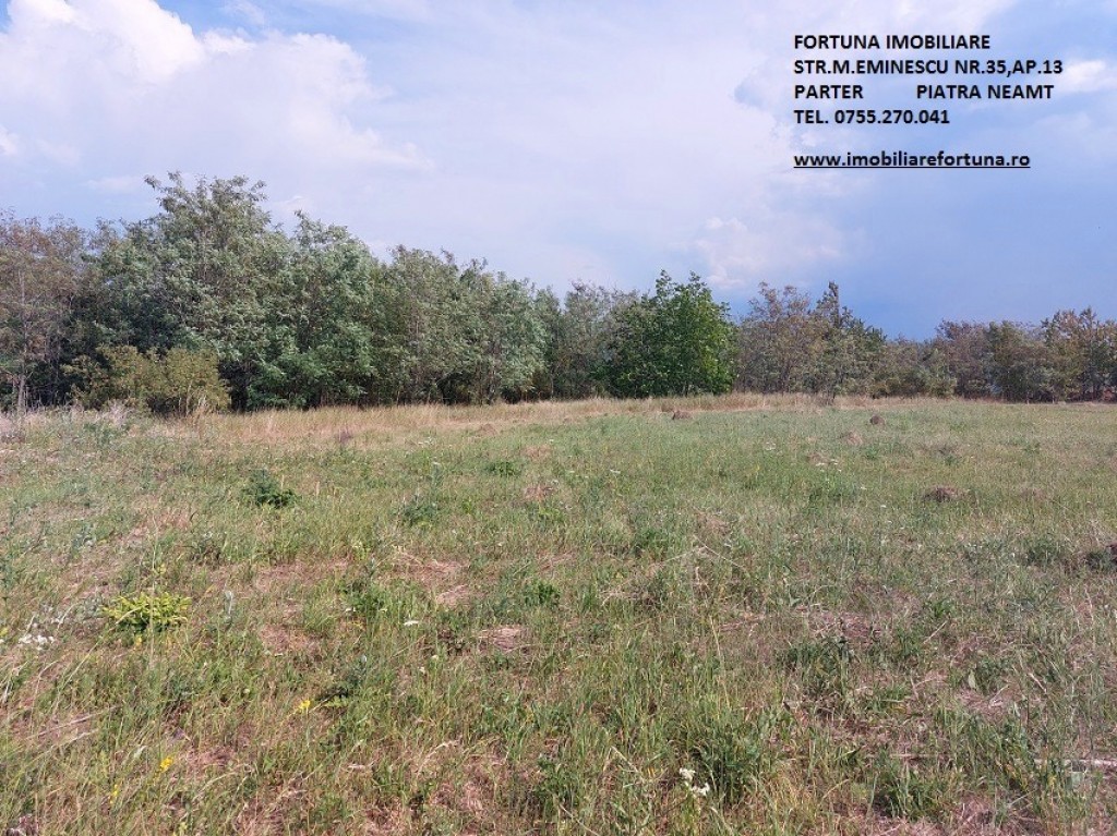 Teren intravilan Piatra Neamt