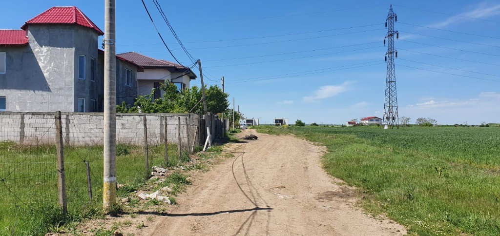 Viile noi . comarnic colt cu Fantanele