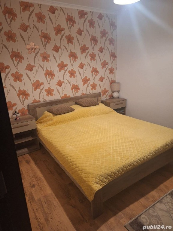 Apartament cu 1 camera Someseni