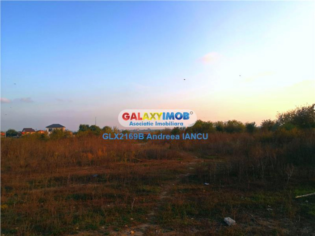 Teren Giulesti - 16 Februarie