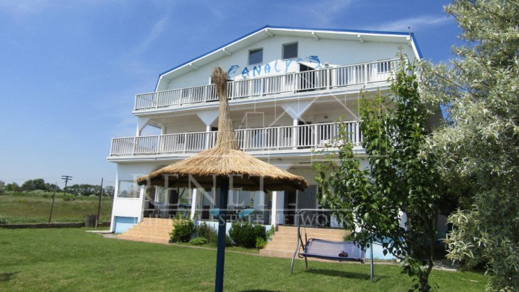 Analys - colt de rai salbatic la 23 august. Pensiune