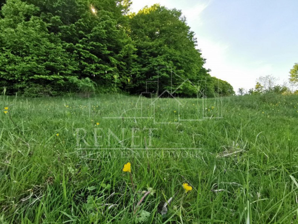 Oportunitate de Investiție - Teren de Basm in Bascov. DIREC