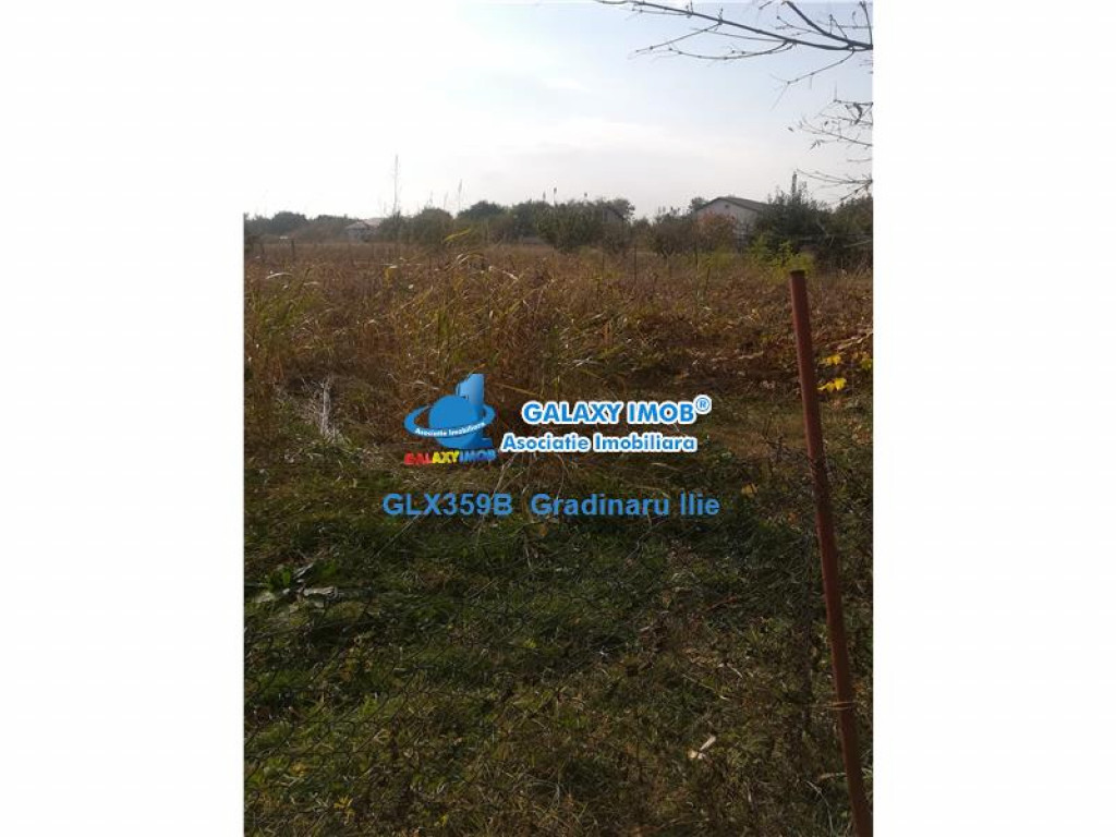 Teren Buftea / Garoafelor