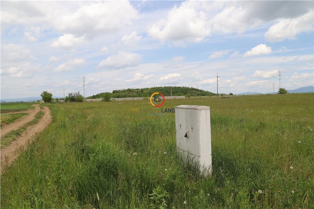 Teren intravilan13100 mp pentru dezvoltare imobiliara