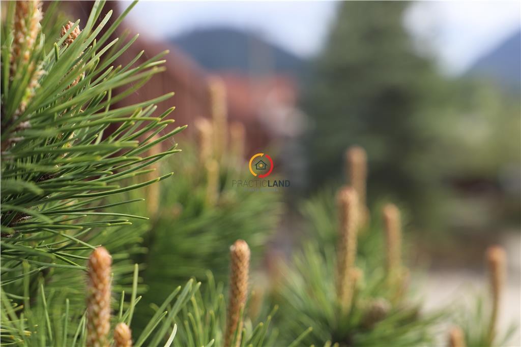 Constructii si teren intravilan18.000 mp