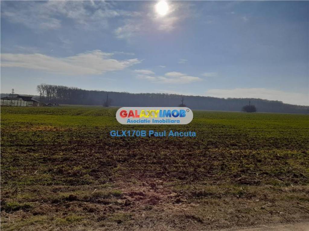 Teren latura Padure Snagov Ciofliceni 10000 mp utilitati