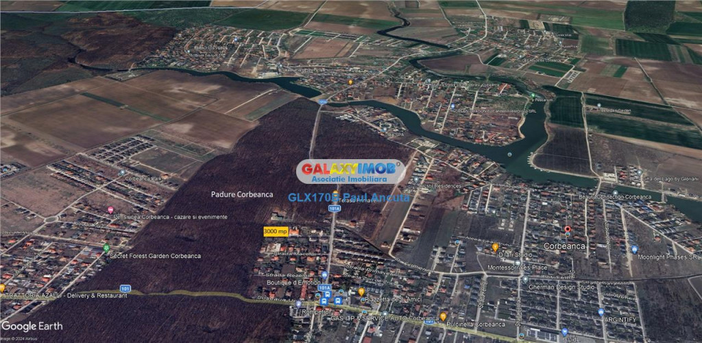 Teren Corbeanca str Primaverii 3000 mp 2 laturi la padure