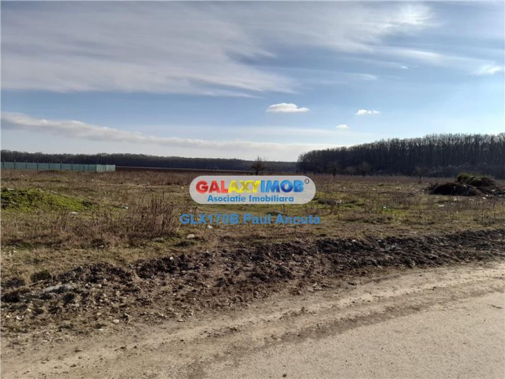 2 Terenuri Dascalu Depozitare Productie 7252mp si 8848 mp