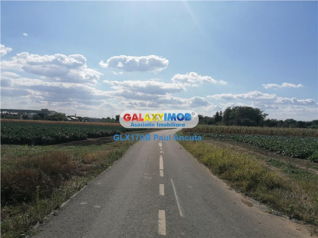 Teren Gruiu Nuci 15300 mp la sosea langa sat