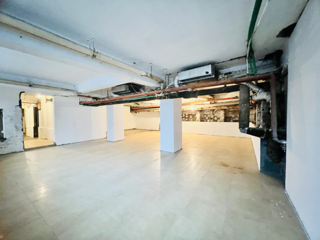 Demisol in Plevnei - Piata Kogalniceanu; pretabil productie/