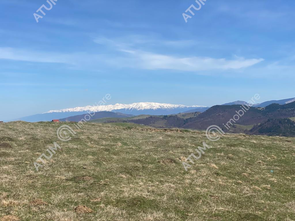 Teren intravilan 3000 mp cu utilitati in Paltinis judet Sibi