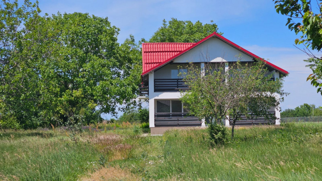 Vila pentru doua familii Darza-Crevedia