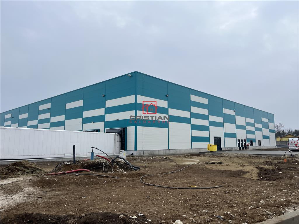 Depozit/hala/spatiu industrial Stefanesti - Centura
