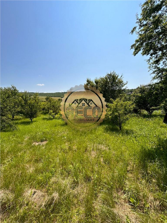 Teren intravilan de in Betfia