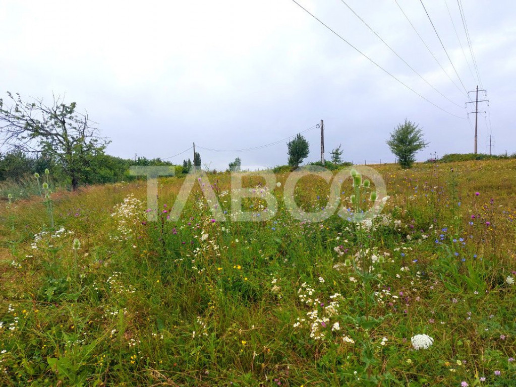 Teren frumos pentru cabana de relaxare 1000 mp intravilan Da