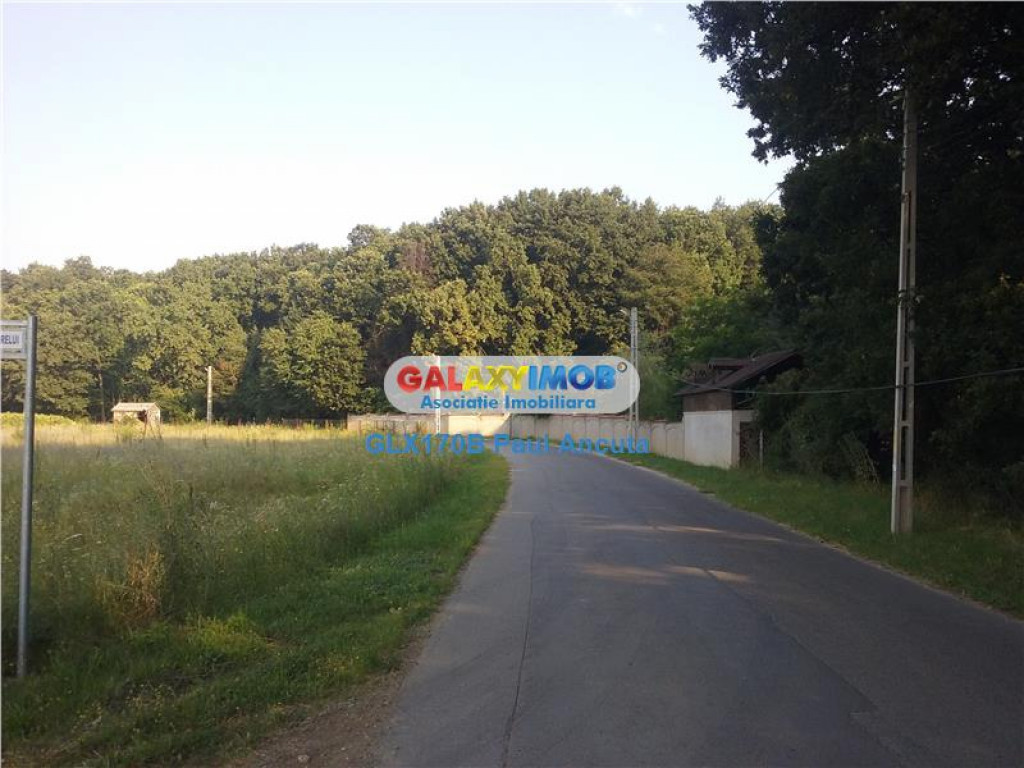 Teren Corbeanca str Radarului 1Ha sosea Padure