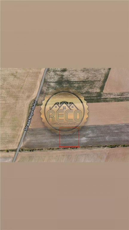 Teren intravilan, Grigorescu