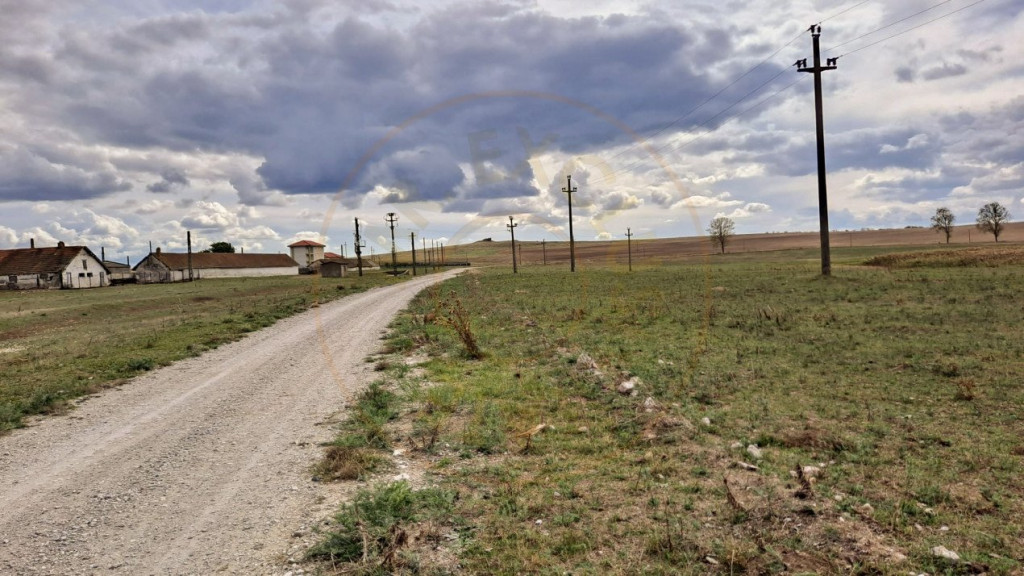 Teren intravilan de 1 Ha, cu iesire la lac, pretabil parc fo