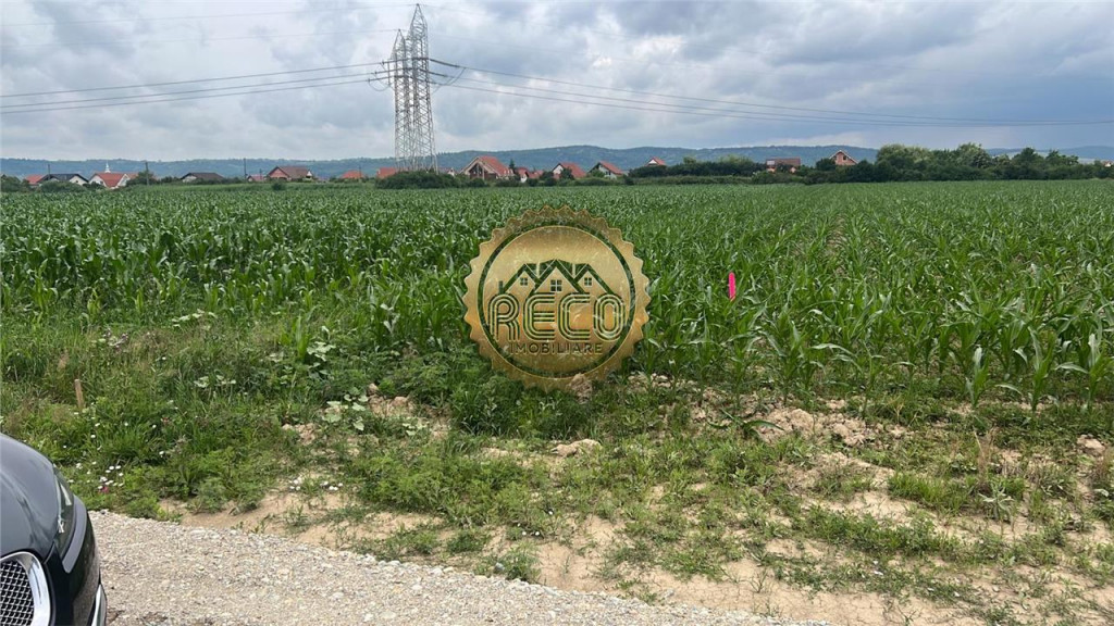 Teren intravilan,8.258 mp,Centura Osorhei