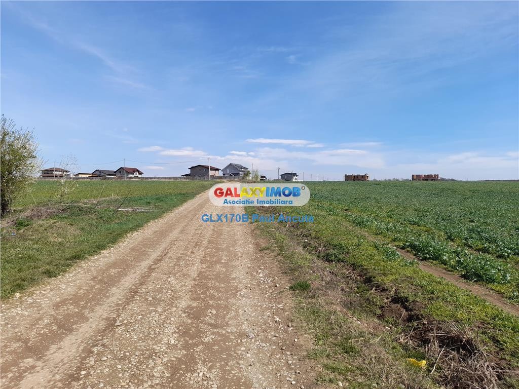 Teren Balotesti Tunari 10 Ha intravilan rezidential