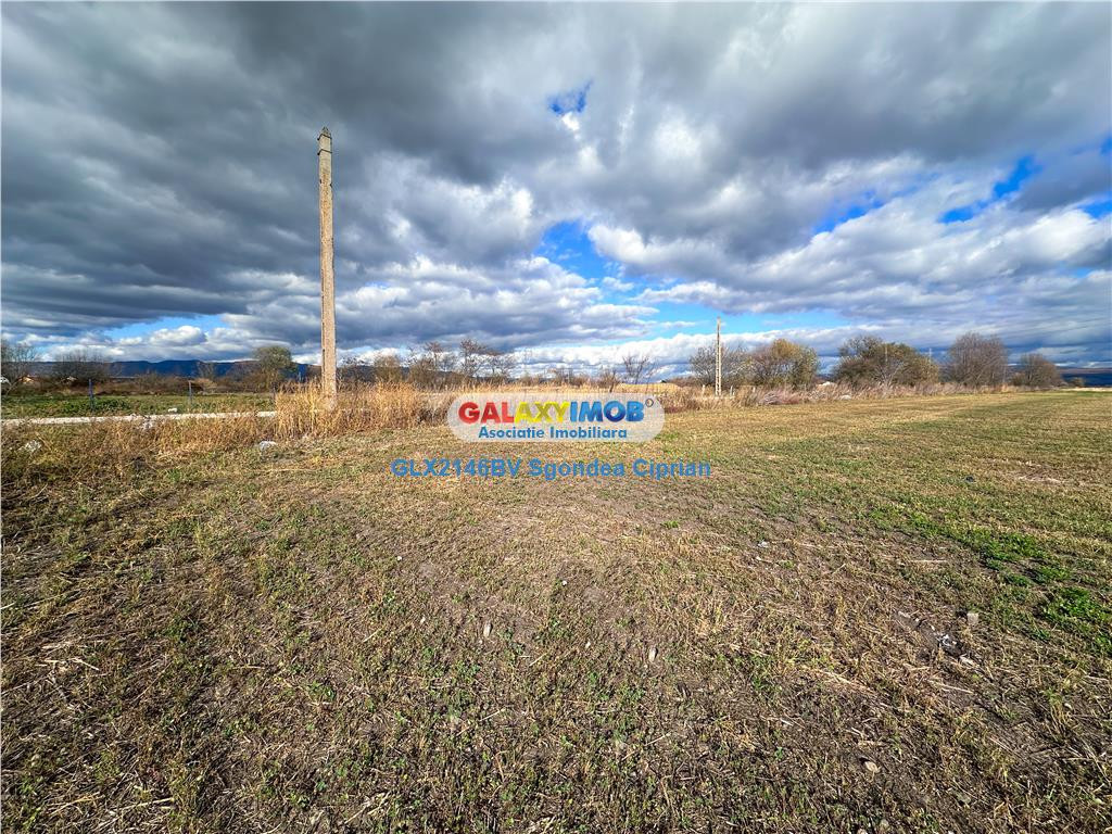 Teren Halchiu 5000 mp cu utilitati si puz