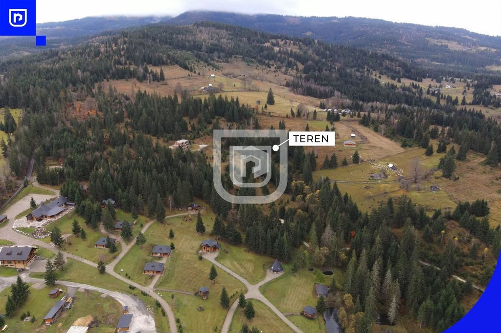 Teren situat in Dorna-Arini | BUCOVINA |