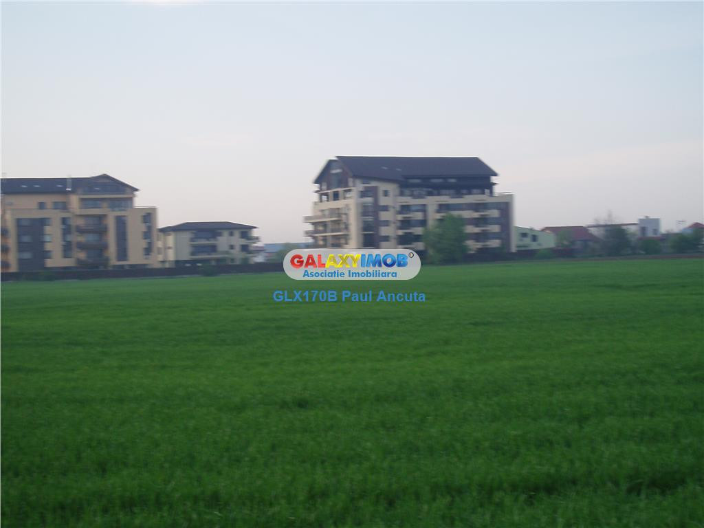 Teren Corbeanca 35000 mp la sosea utilitati apropiere Padure