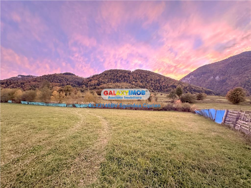 Teren De Tohanita 5 km Bran