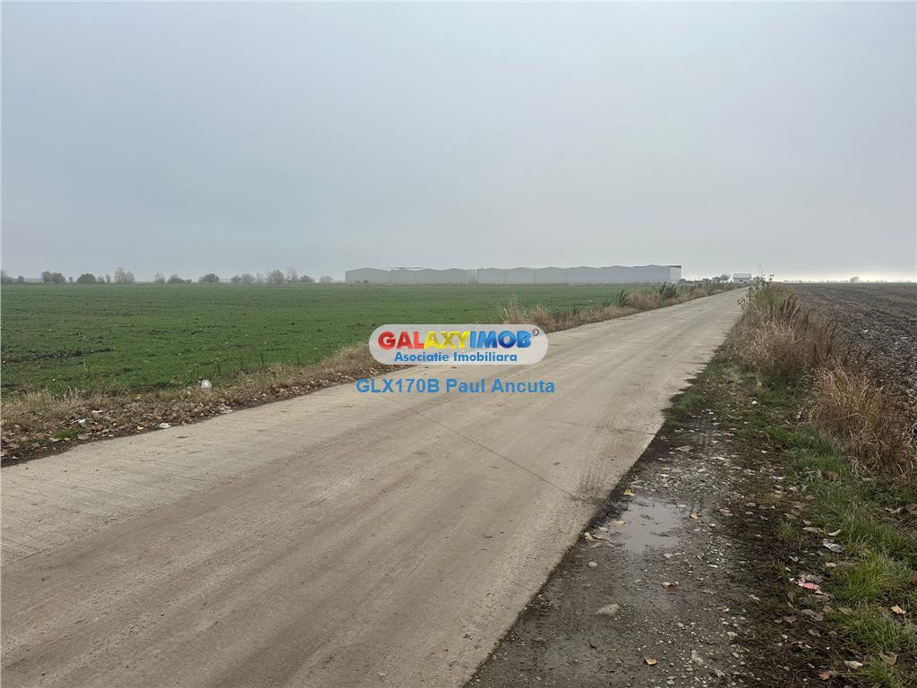 Teren la sosea Afumati Petrachioia 29500 mp pentru Industria