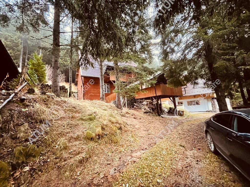 Casa de vacanta/Cabana cu 8 camere de in Paltinis