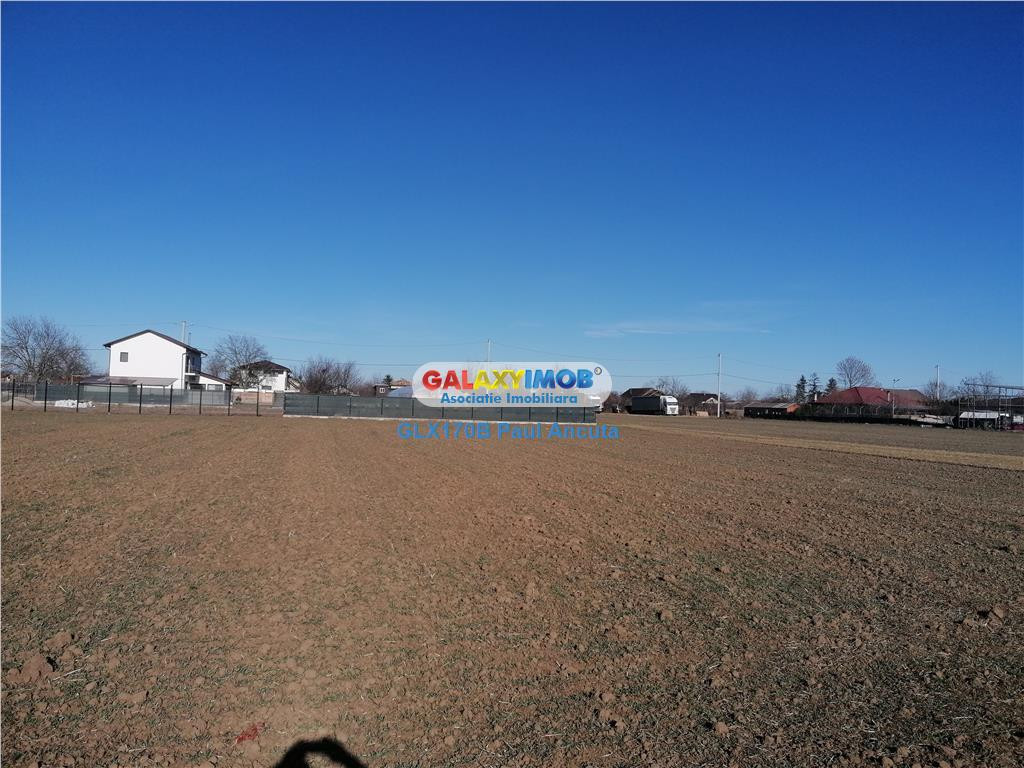 Teren Moara Vlasiei 1500 mp str Garoafelor