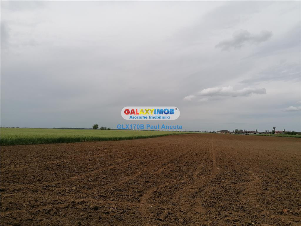 Teren Balotesti 16700 mp apropiere case str Lunii