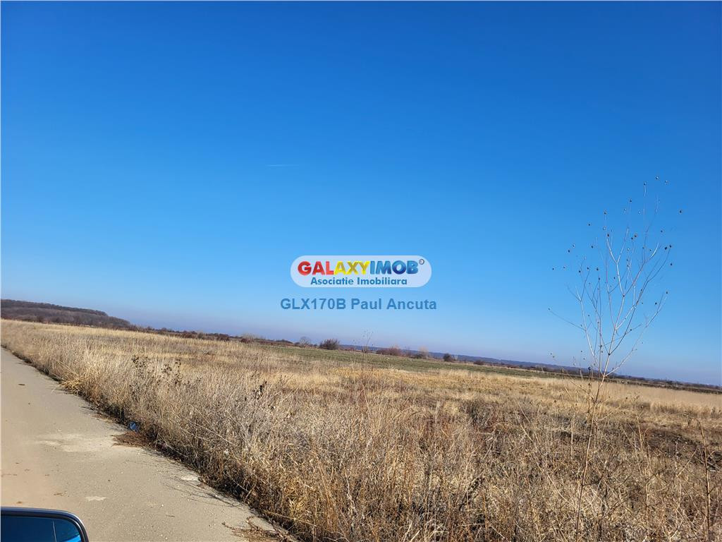 Teren Corbeanca str Magnoliei 13200 mp cu PUZ dezmembrat lot