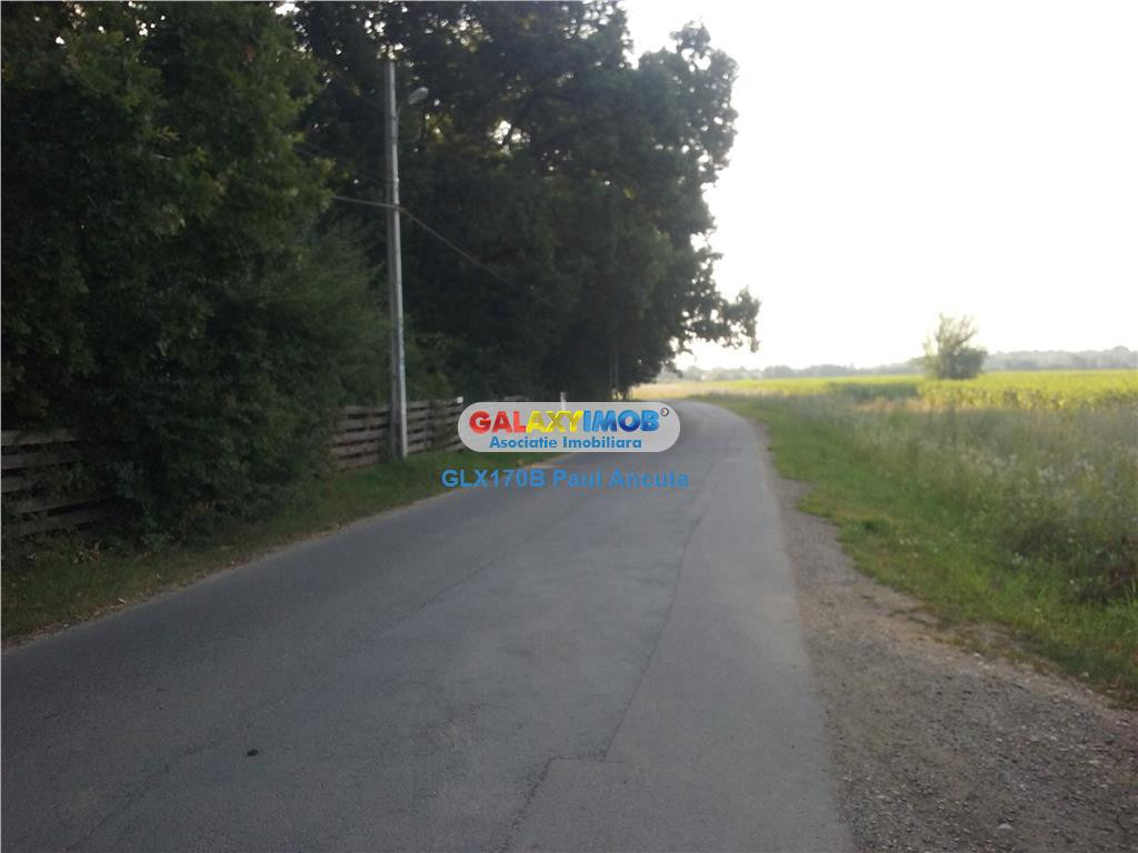 Teren Impadurit 1 Ha Corbeanca aviz defrisare pnt 2 case