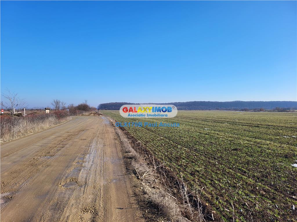 Teren latura Padure Corbeanca 15 Ha langa Flamingo 3 Intravi