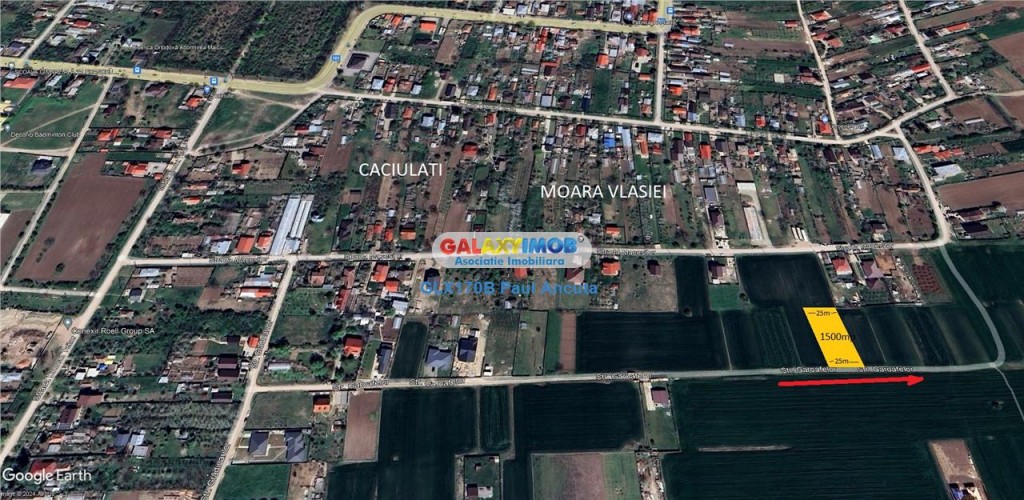 Teren Caciulati Moara Vlasiei 1500 mp pe str Garoafelor
